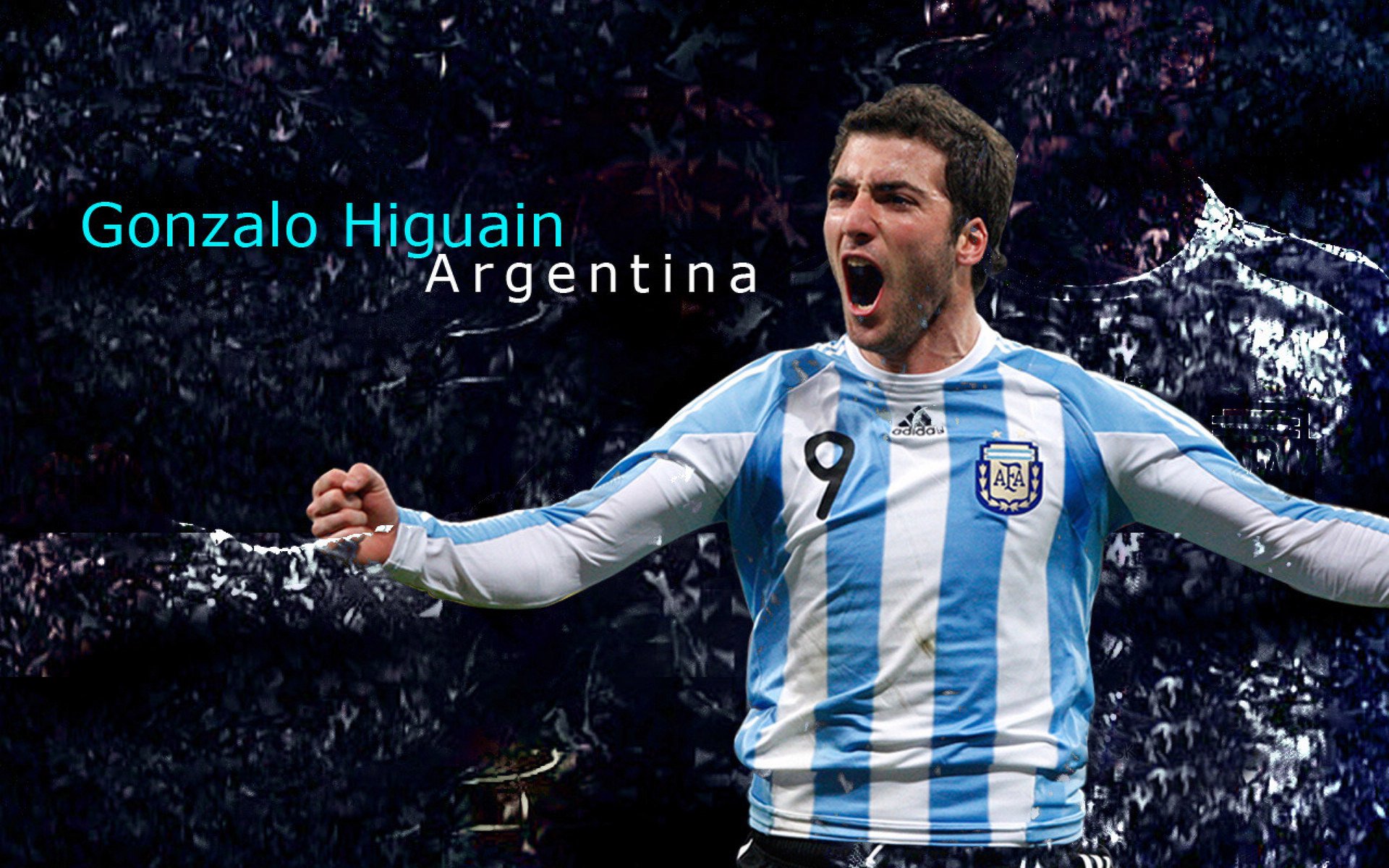 WRC观众指南：最佳观赛点与现场活动，wrc观看